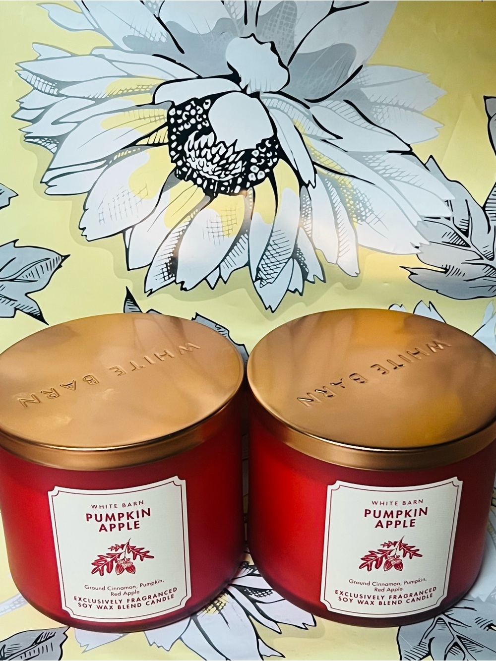 2 Pumpkin Apple Bath & Body Works Scented Candle 14.5 oz